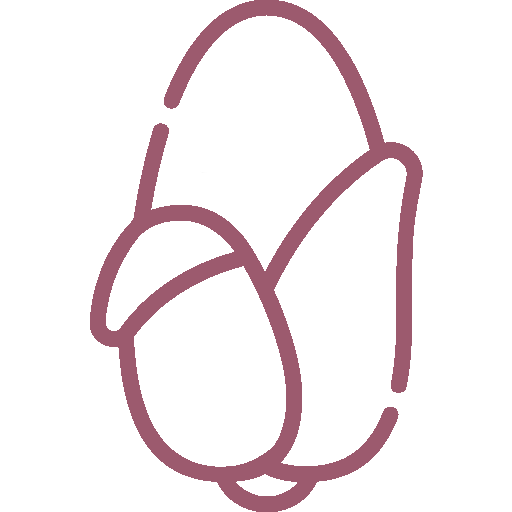 Guia-Nutricional-09_Simple-Blending_Sin-colesterol