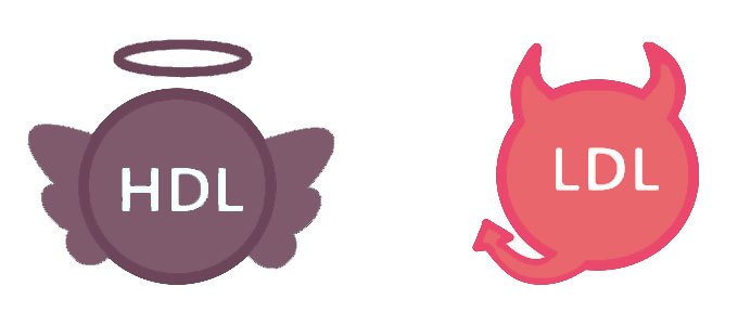 Plan-Accion-Colesterol-Colesterol-HDL-LDL_Simple-Blending