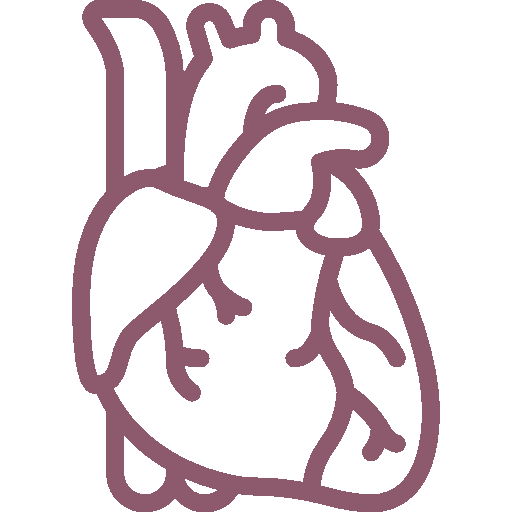 Plan-Accion-Colesterol-Menor-riesgo-cardiovascular_Simple-Blending