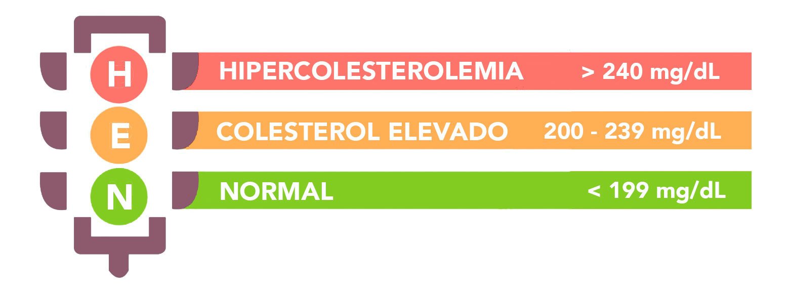 Plan-Accion-Colesterol-Niveles-Colesterol_Simple-Blending